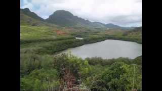 Kauai Hawaii Around Lihue [upl. by Einahpit]