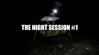 The Night session  Plantations Fishery CARP LAKE [upl. by Gerrit770]