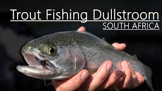 Trout Fishing South Africa Millstream Farm Part 1 of 2 [upl. by Akemat541]