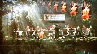 Waldesruhe  Antonín Dvořák Akkordeonorchester und Violoncello [upl. by Notsnarc]