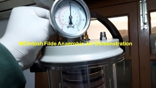 MCIntosh Filde Anaerobic Jar Demonstration [upl. by Ardnasirhc493]