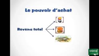 Économie  Niveau de vie et pouvoir dachat [upl. by Alemak]