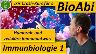 Immunbiologie 1 Humorale  zelluläre Immunantwort  Anwendungsaufgaben analysiert  Fit für´s BioAbi [upl. by Lamag660]