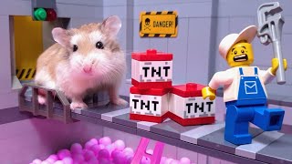 Major HAMSTER escapes LEGO VIRUS LAB [upl. by Kunz]