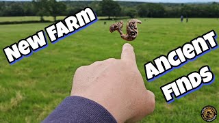 We Found The Rarest Ancient Artefacts Metal Detecting UK [upl. by Chamberlin]