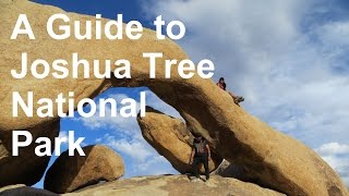 Joshua Tree National Park [upl. by Theodoric]