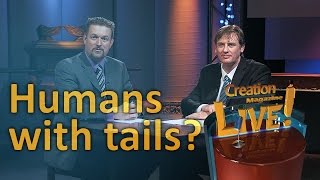 Humans with tails Creation Magazine LIVE 503 [upl. by Buckler]