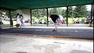 Profi Weight Pulling CWDS 2014 [upl. by Harper]