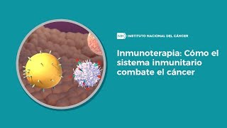 Inmunoterapia Cómo el sistema inmunitario combate el cáncer [upl. by Monk]