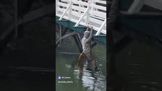 Что вообще происходит 😂 fishing carp рыбалка carpfishing карп рыбалка2024 carps рек fish [upl. by Anehs]