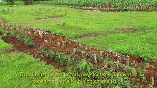 Biophysical soil and water conservation activity  Gibe kabala watershed [upl. by Ashraf]