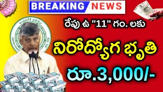 Nirudyoga Bruthi in andhra pradesh 2024  Nirudyoga Bruthi Scheme updates  Yuva Nestham scheme [upl. by Ynaffat669]