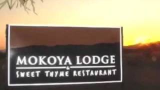 mokoya lodge wedding venue Magaliesberg Gauteng [upl. by Britta]