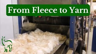 From Fleece to Yarn  Tour of a Fiber Mill [upl. by Diella510]