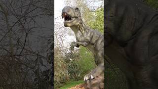 Dinorangers  TRex [upl. by Bilicki]