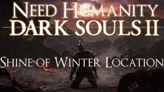 Dark Souls II Guide Shrine of Winter  Where You go After Collecting All Primal Souls [upl. by Rowney992]