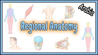 Cell Anatomy amp Physiology Cell Structure and Function Overview for Students [upl. by Anitsirhc]