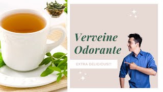 Verveine citronnelle Aloysia Citriodora  tisane aux multiples bienfaits [upl. by Lynda136]