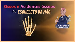 Anatomia dos ossos e acidentes ósseos do esqueleto da mão [upl. by Amahs172]