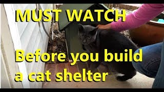 Building a feral cat shelter Watch this first [upl. by Laith]