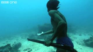 ‪Superhuman Filipino diver from the Badjao tribe BBC [upl. by Mathis]