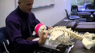 Rotation amp Lateral Bending of Cervical Spine  Supine on Skeleton [upl. by Deering]