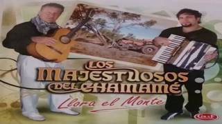 Los Majestuosos Del Chamamé  Llora El Monte Material Completo 🎶🎼🎵♩ [upl. by Ogu530]