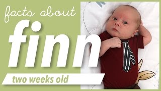 FACTS ABOUT FINN2 WEEKS OLD [upl. by Hulda]