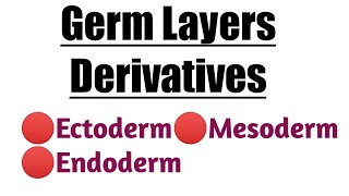 Germ Layers Derivatives  Ectoderm  Mesoderm  Endoderm [upl. by Yarled]