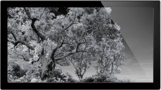 How To Convert Images To Infrared  Infrared Photography [upl. by Arodoet535]