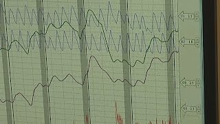 How it Works Polygraph Test [upl. by Airotkiv]