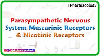 2Parasympathetic Nervous System  Muscarinic receptors and Nicotinic receptors [upl. by Lewiss118]