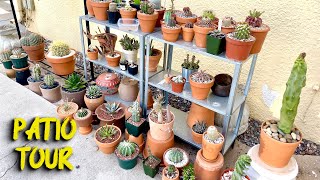 Spring 2021 Cactus and Succulent Patio Tour [upl. by Sina197]