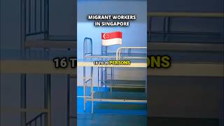 Living Conditions in Singapore Dorms [upl. by Dhumma]