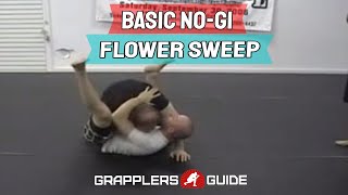 Basic NoGi Flower Sweep [upl. by Enoch]