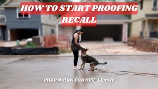 How To Start Proofing Recall  Prep for OffLeash [upl. by Latrell224]