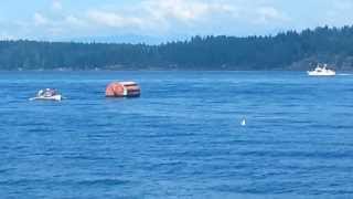 Tyee Salmon Fishing Boats in Campbell River BC [upl. by Naux829]