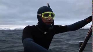 Free Diving With Killer Whales  FULL LENGTH  MagellanTV [upl. by Vihs]