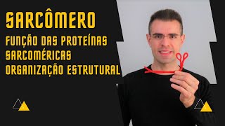 📕 Sarcômero Função das Proteínas Sarcoméricas e Estrutura Organizacional [upl. by Olegnaleahcim]