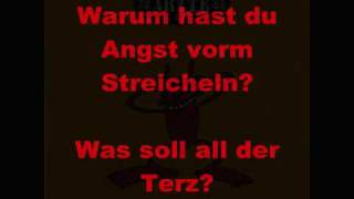 Schrei nach Liebe die Ärzte mit Lyrics [upl. by Sivrahc460]