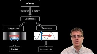 Transverse and Longitudinal Waves [upl. by Nel]