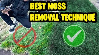 HOW TO REMOVE MOSS FROM YOUR LAWN Treated vs Untreated Results 2 Step process [upl. by Fogel]