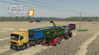 FS19 Карта Кошмак Большая уборка День 2 Закончили молотить поле ячменя 51Га [upl. by Dorreg]