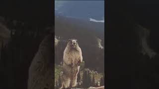 Marmot scream georgiy krivonosov Version [upl. by Phil984]