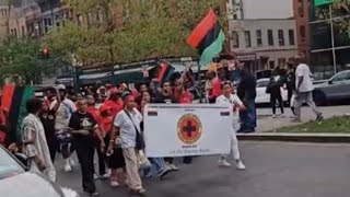 Highlights from The Honorable Marcus Garvey Parade in Harlem August 17th2024 [upl. by Jenks]