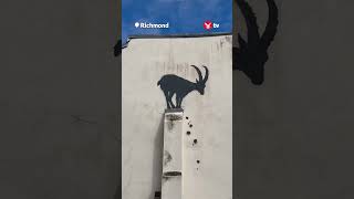 Banksy reveals new artwork in London 🐐 banksy shorts [upl. by Jessalyn]