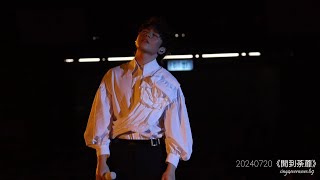 Ian Chan 陳卓賢  開到荼蘼  20240720《IAN CHAN“TEARS” IN MY SIGHT SOLO CONCERT 2024》 [upl. by Elleyoj]