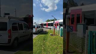 citadis Dualis au PN 4 de la ligne dEsbly à CrécylaChapelle ligne 71000 SNCF tramway IDFM [upl. by Yhtuv]