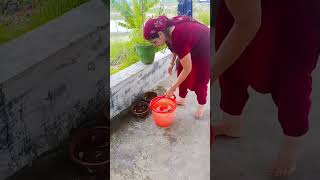 pakshiya k liye Pani trending shortvideo jai mata di 🙏🙏🙏 [upl. by Sabina]