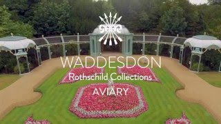 The Aviary at Waddesdon Manor [upl. by Yrevi]